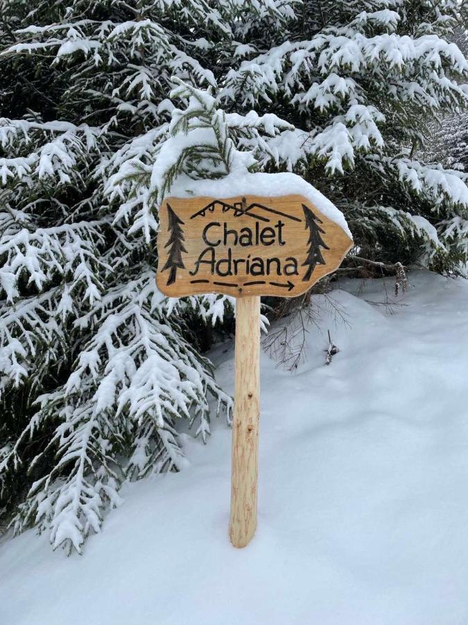 Chalet Adriana Bukovel Bagian luar foto